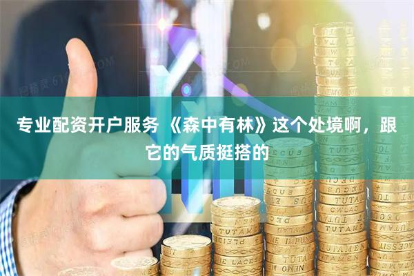 专业配资开户服务 《森中有林》这个处境啊，跟它的气质挺搭的